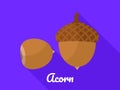 Acorn icon, flat style