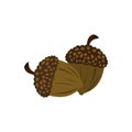 Acorn icon flat