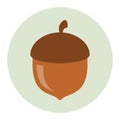 Acorn icon flat