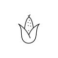 Acorn icon. Simple thin line, outline of autumn icons for ui and ux, website or mobile application