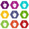 Acorn icons set 9 vector