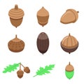 Acorn icons set, isometric style