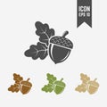 Acorn isolated vector icon Royalty Free Stock Photo