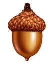 Acorn Isolated