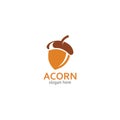 Acorn logo illustration vector template.