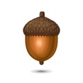 Acorn Nut Icon on White Background. Oak Tree Fruit. Vector Royalty Free Stock Photo