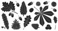 Acorn of oak black vector set icon. Vector illustration autumn leaf and nut on white background.Isolated black icon Royalty Free Stock Photo