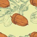 Acorn and oak leaf. Vector seamless pattern. Hand drawn color illustration Royalty Free Stock Photo