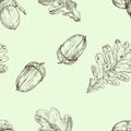 Acorn and oak leaf. Vector seamless pattern. Hand drawn illustration. Autumn background Royalty Free Stock Photo