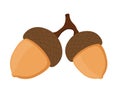 Acorn, oak nut, seed. Cartoon flat style. Vector illustration Royalty Free Stock Photo