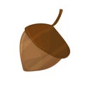 Acorn, oak nut, seed. Made in cartoon style. Vector illustration Royalty Free Stock Photo