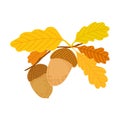 Acorn, oak tree seed and leaves branch, simple hand drawn flat style vector illustration, autumn fall design element Royalty Free Stock Photo