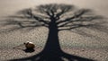 An acorn on the pavement casting a long shadow shaped like a large tree. Royalty Free Stock Photo