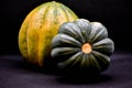 Acorn Squash on Black Background Royalty Free Stock Photo