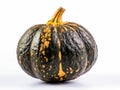 Acorn squash isolated on white background Royalty Free Stock Photo