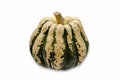 ACORN SQUASH isollated on white