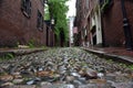 Acorn Street - Beacon Hill, Boston, Massachusetts Royalty Free Stock Photo