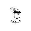 acorn vector logo design Royalty Free Stock Photo