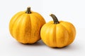 Acorn yellow squash isolated on a white background. Royalty Free Stock Photo