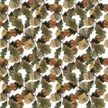 Acorns on a branch with oak leaves, autumn watercolor , seamless pattern Royalty Free Stock Photo