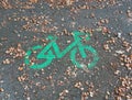 A Stencil of a green bicycle on the ground covered in acorns