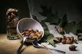Brown acorns in a plate and a glass stand on the table Royalty Free Stock Photo