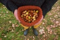 Acorns in hat