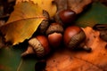 Acorns leaf fall. Generate Ai