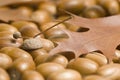 Acorns and Maple Leaf Royalty Free Stock Photo