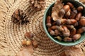 Acorns, oak leaves and pine cones on wicker mat, flat lay Royalty Free Stock Photo