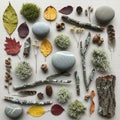 Acorns, pinecones, and small seed pods are scattered among the items Royalty Free Stock Photo