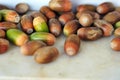 Acorns ripening on a ground, acorns which are the fruits of the oak tree