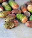 Acorns ripening on a ground, acorns which are the fruits of the oak tree