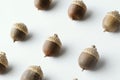 Acorns in rows for fall season Royalty Free Stock Photo