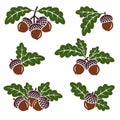 Acorns set. Collection icon acorns. Vector Royalty Free Stock Photo