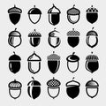 Acorns set. Collection icon acorns. Vector Royalty Free Stock Photo