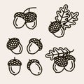 Acorns set. Collection icon acorns. Vector Royalty Free Stock Photo