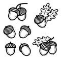 Acorns set. Collection icon acorns. Vector Royalty Free Stock Photo