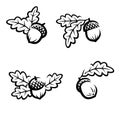 Acorns set. Collection icon acorns. Vector Royalty Free Stock Photo