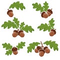 Acorns set. Collection icon acorns. Vector Royalty Free Stock Photo