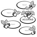 Acorns set. Collection icon acorns. Vector Royalty Free Stock Photo