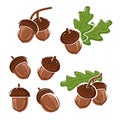 Acorns set. Vector Royalty Free Stock Photo