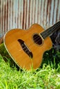 Baritone Ukulele Guitar Grass