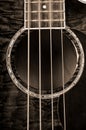 Acoustic Bass Guitar