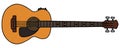 Acoustic bass guitar