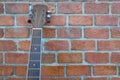 Acoustic classic guitar head Royalty Free Stock Photo