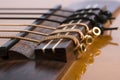 Acoustic classical guitar Royalty Free Stock Photo