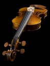 Acoustic Classical Violin perspective view