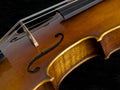 Acoustic Classical Violin side