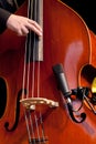 Acoustic double bass player Royalty Free Stock Photo